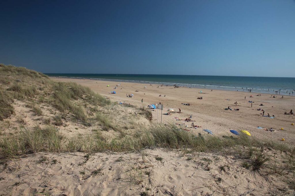 Grande plage de sable fin sauvage bordée de dunes et d'oyats sous un ciel bleu en Vendée.