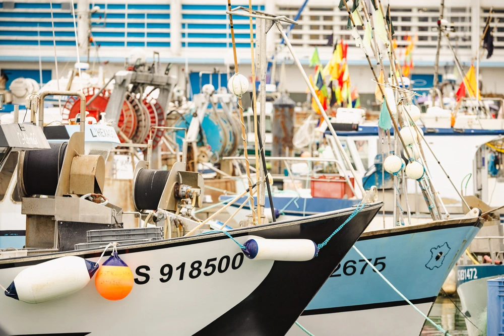 bateau port de peche en Vendée