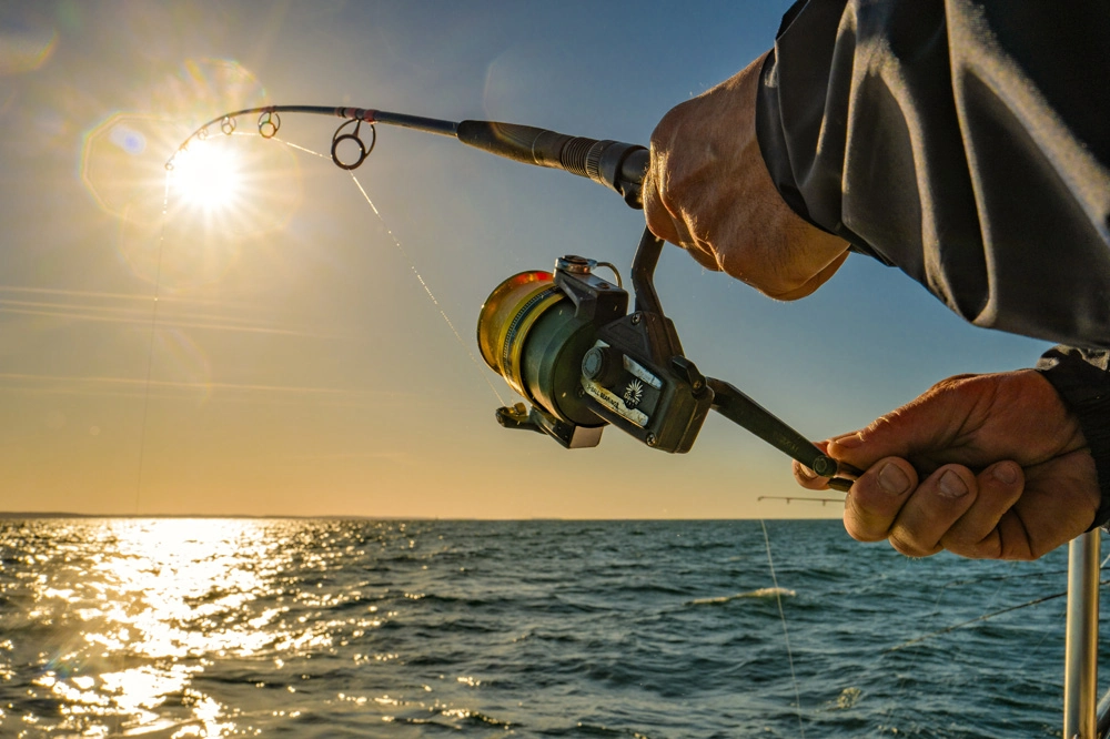 compagnie vendeenne pour se rendre du l'ile d'yeu en Bateau