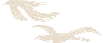 oiseau bord de mer Vendée