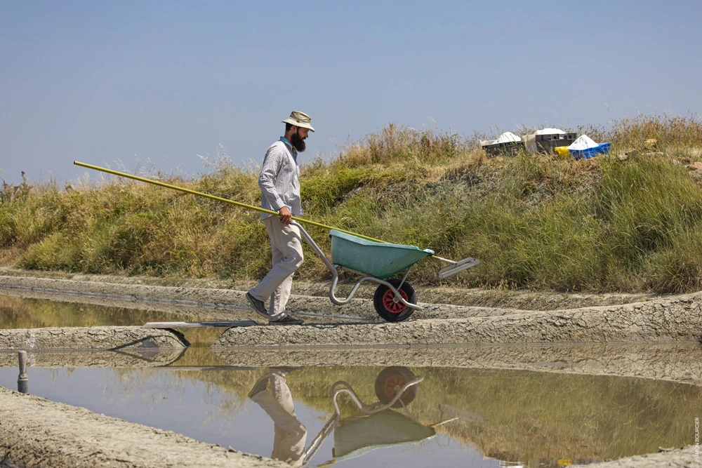 marais salants predevie saint hilaire de riez