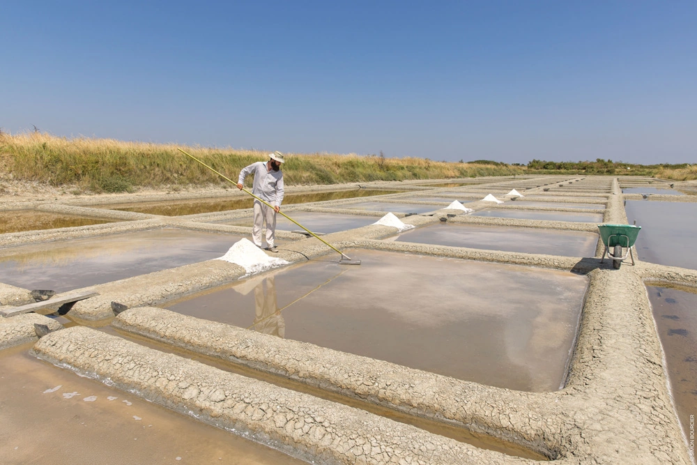marais salants predevie saint hilaire de riez