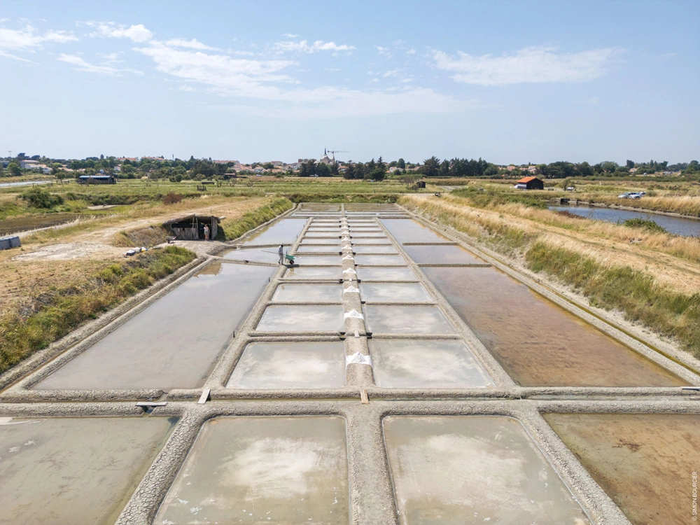 marais salants predevie saint hilaire de riez