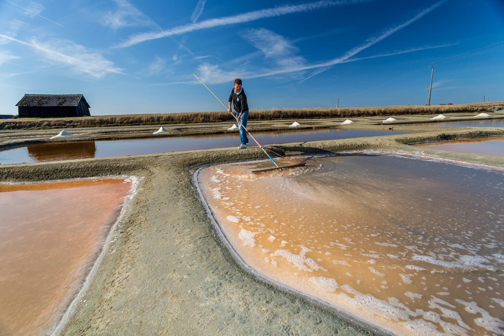 marais salants saint hilaire de riez