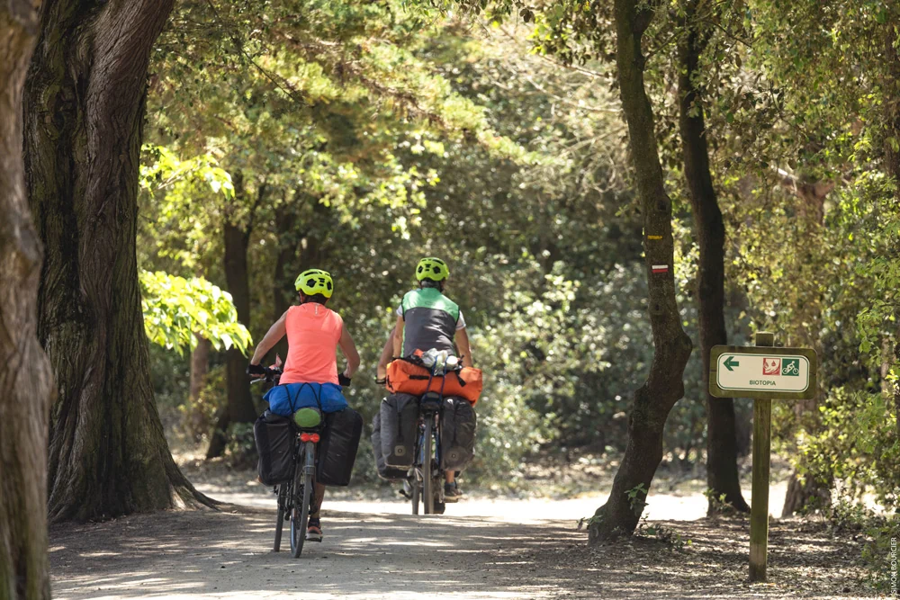 notre dame de monts velo cargo foret vendee 
