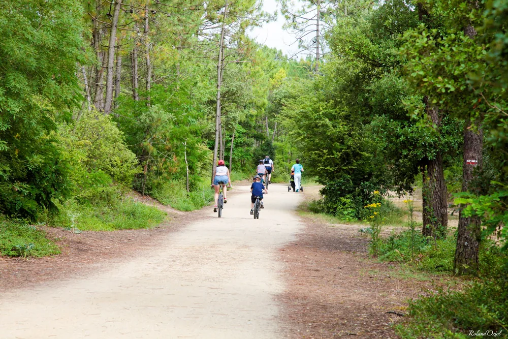 pistes cyclables saint jean de monts 