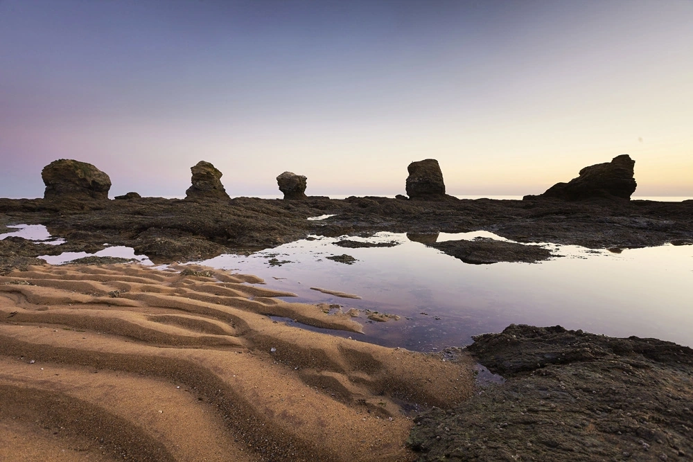 les 5 pineaux de saint hilaire de riez