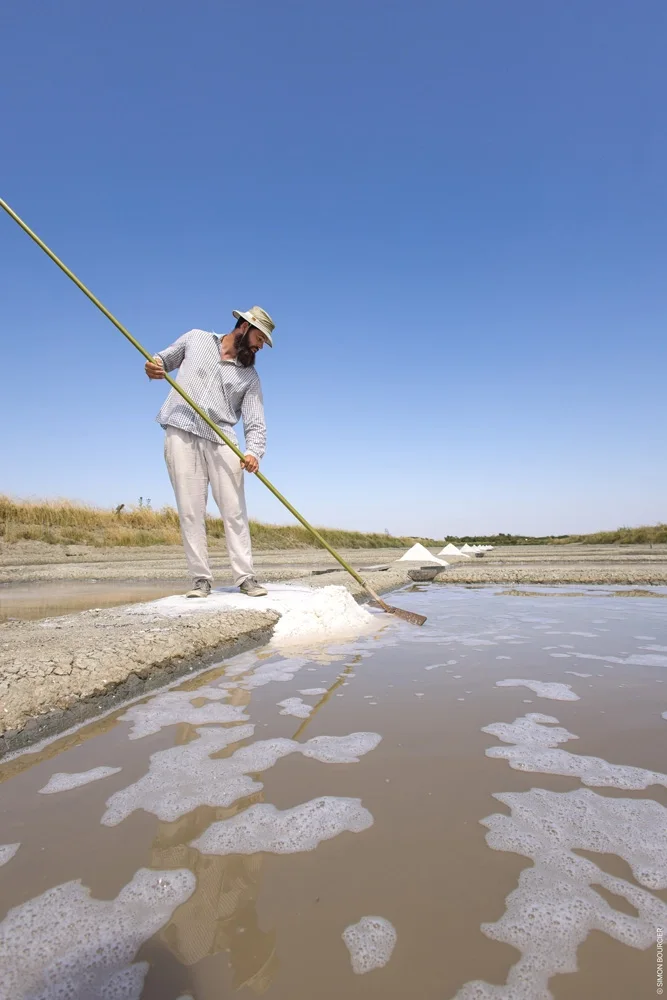 Salt marshes, Predevie, Saint-Hilaire-de-Riez